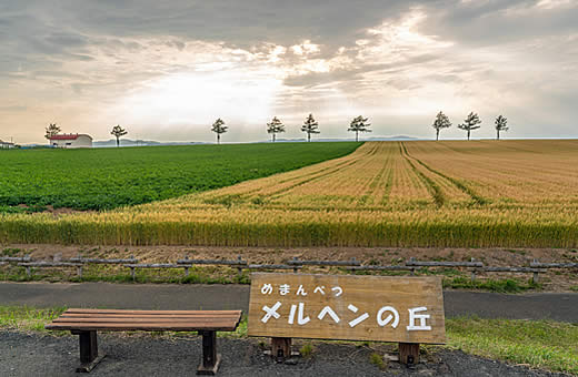 網走郡大空町女満別メルヘンの丘